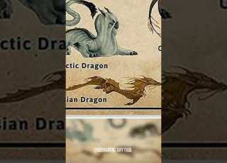 Types Of Dragons Asian Dragon Part 7 Shorts