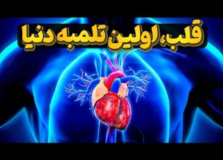  قلب پرکارترین عضو بدن چطوری کار میکنه و چطوری باید نگهداری بشه
