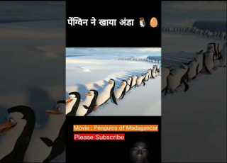  प ग इन न ख य अ ड प र ट 2 Cartoon Story Comedy Cartoon