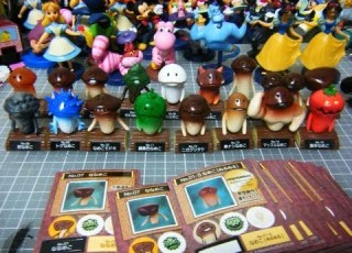  Candy Toys Mushroom Mountain FINAL The Road To Completing All Types Of Mushrooms Unboxing Rev