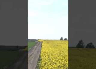 ناسری ڕەزازی حەریر حەریرە