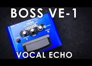  BOSS VE 1 Vocal Echo