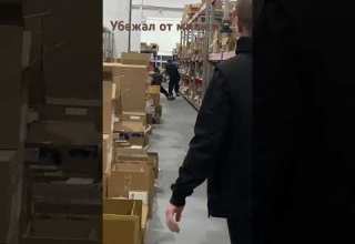 Побег от злого мишки Dance Music Dancer Remix Hiphop рекомендации