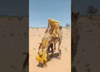 لن تصدق ذلك مشهد غريب لعروس معلقة بحبل تحت أشعة الشمس الحارقة