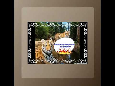 عماد عبد الحليم وقفة عتاب