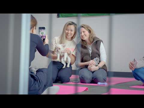 JFrog Employees Attend Health Fair 2026