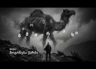  BABU მოგონება ქარში