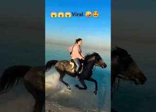  ALMONY ALA Elmashrwb