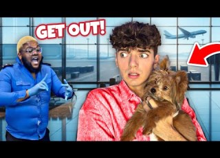  First Time On A Plane With A PUPPY
