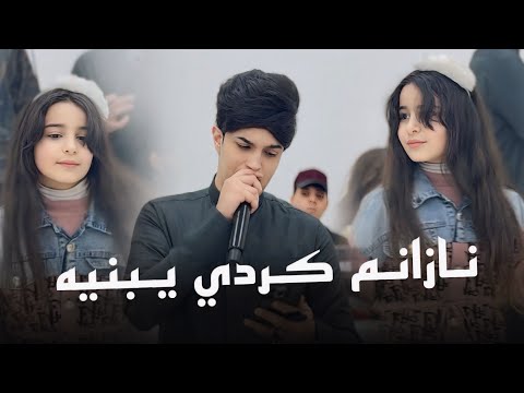 نازانم كردي يبنيه احمد جاسم 2025 جديد المايسترو نوفل السبعاوي حفل زفاف يوسف الحيالي