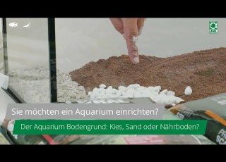  JBL TV 19 Teil 2 Aquarieneinrichtung Der Aquarium Bodengrund Kies Sand Oder Nährboden