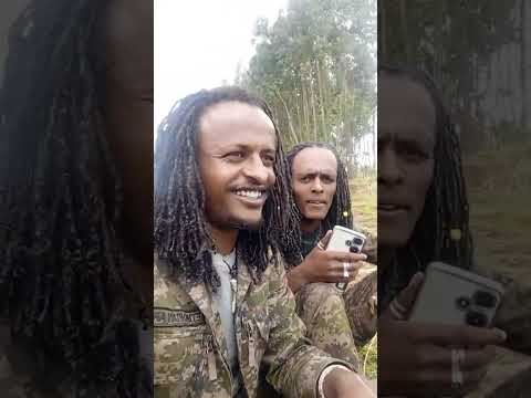 Wbo Oromo Wbo Ola Finfinnee Oromia Afaan Oromoo Oduu Afaan Oromoo Oromo Oro