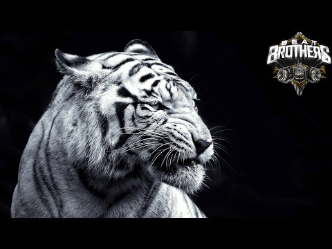 Hard Motivational Choir Rap Beat Instrumental 2016 Fight