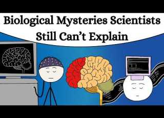  Biological Mysteries Scientists Still Can T Explain