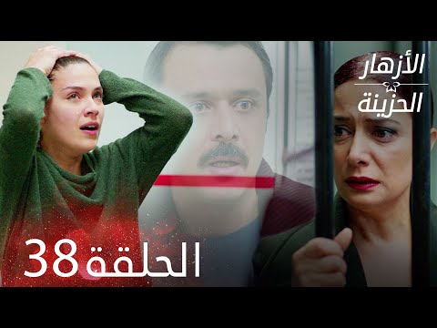 الأزهار الحزينة الحلقة 38 كاملة Kırgın Çiçekler