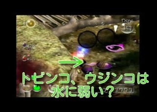 ピクミン2ためにならない講座27 トビンコ ウジンコは水に弱い