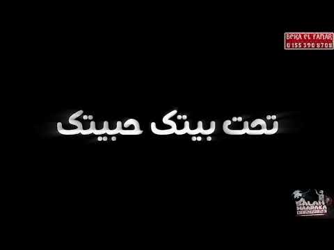 حالة واتس مهرجان كفته بالطحينه ريشه كستا وسماره