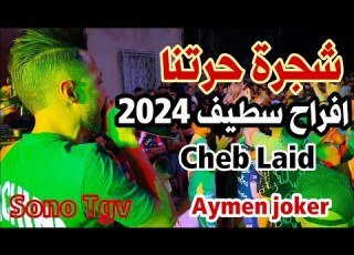  Cheb Laid Amine Lmaws Staifi 2024 By Aymen Joker اغنية سطايفي شجرة حرتنا