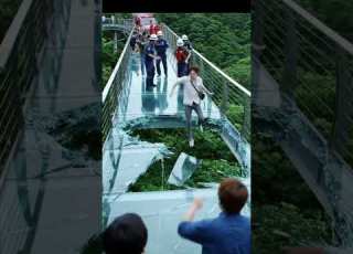 Glass Bridge Shatters Underfoot Tourists In Shock Shorts Glassbridge Skywalk Skybridge