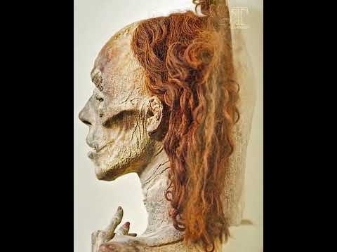 مومياء الملكة تيي التاريخ مصر القديمة مومياء