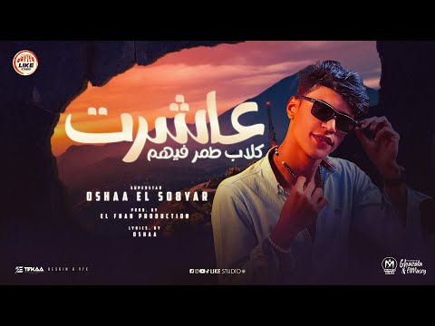 عاشرت كلاب طمر فيهم اوشا الصغير توزيع تامر الفنان وقطرى انتاج لايك استوديو ياسر الشيخ 2024