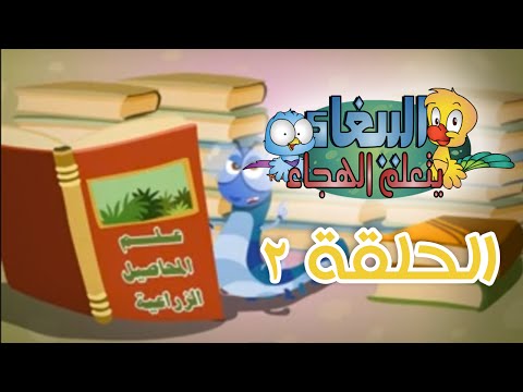 ببغاء يتعلم الهجاء الحلقة الثانية