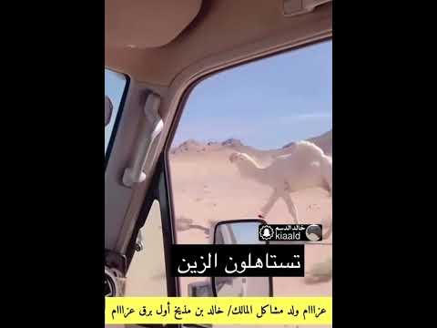 المالك خالد بن مذيخ اول برق ل عزاام