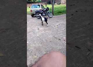 Bok Boke Par Mashati New Funny Vidoeshort