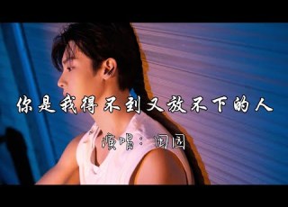  田园 你是我得不到又放不下的人 你是我得不到 又放不下的人 你若安好便是晴天 你永远在我心里面 动态歌词MV