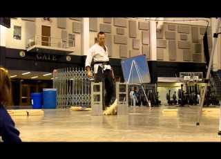NDMAI 2012 Board Break Compilation