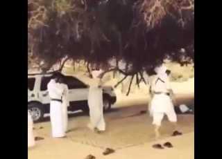 عزوتي قبائل الجابري الشنفريه الهمداني اليمن