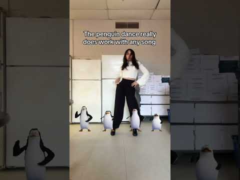 The Penguins Dance Wins Once Again Abracadabra Ladygaga Penguin Choreography Parrisgoebel