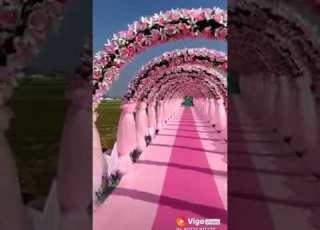  اجمل حالات واتس مولاي صلي وسلم
