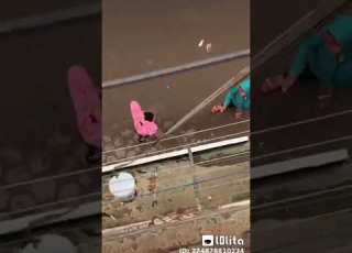  يا عيني دا اتصدم