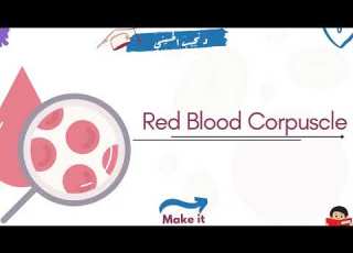 Red Blood Corpuscle كرات الدم الحمراء Dr Nageeb