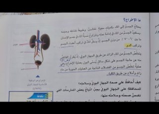  ما الإخراج صفحة ٧٩ علوم الصف الخامس الابتدائي ٢٠٢٥