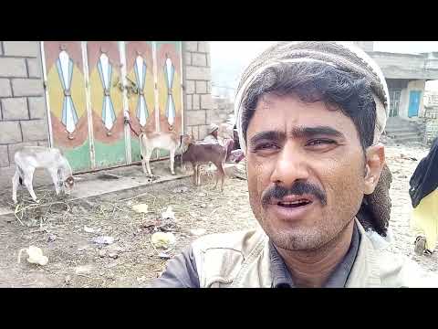 وصاب سوق الثلوث وصاب سوق الثلوث