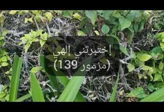 إختبرتني إلهي مزمور 139 جومانا كرم