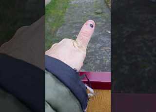  Hitting A Nail With A Hammer Consequences Of The Blow