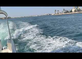 روحي بلقاك بطيء