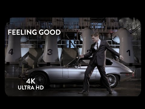 Michael Bublé Feeling Good Official 4K Remastered Music Video