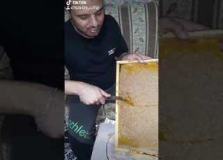  وهي احلي شهد بعسلو ياعين شي بشهي وحلو