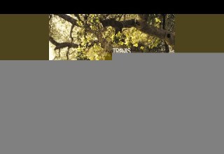 Sing Remastered 2021