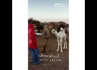  اغنيه وين يحلا الحب يافلانه الفنانه ايمان