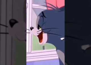  حبيبتي افتحي شباكك انا جيت Shorts