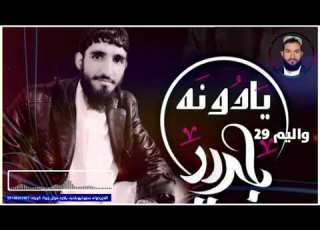بدری یادونہ والیم 29