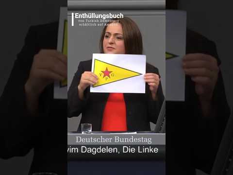 Linksfraktion Unterstützen Sie Die YPG