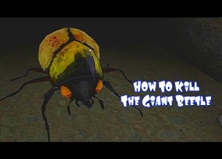  How To Kill The Giant Beetle In The Twins