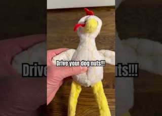  Tested Squeaky Dog Toy This Was Fun Dogtoys