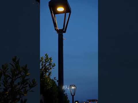 الموعد في جنة عدن انشودة فلسطين Youtube اكسبلور تصميمي الموعد في جنة عدن انشودة فلسطين Youtube اكسبلور تصميمي